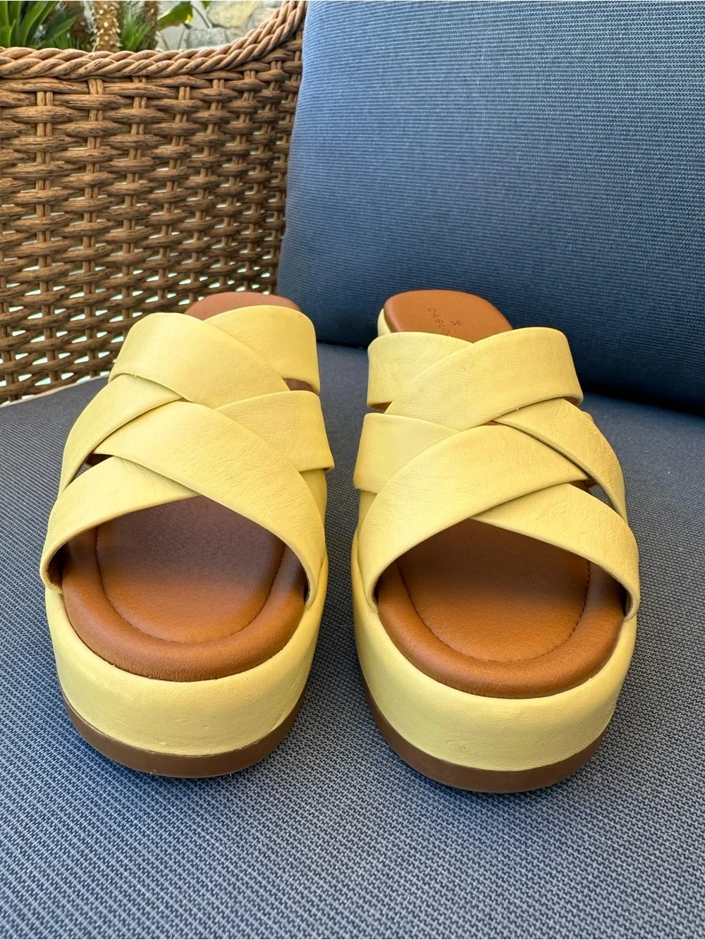 Caslon Women’s Yellow Platform Wedge Slide Sandals